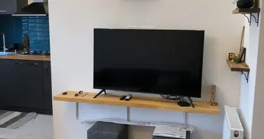1 Bedroom Apartment for Rent in Tbilisi in Tbilisi, Georgia