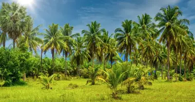 Участок земли в Sanyang, Гамбия