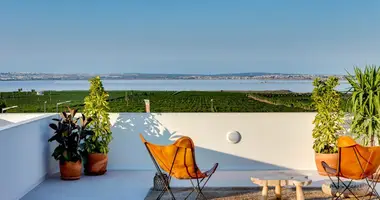 2 bedroom apartment in Torrevieja, Spain