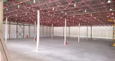 Warehouse 7 250 m² in Novoselki, Russia
