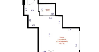 1 room apartment in Minsk, Belarus