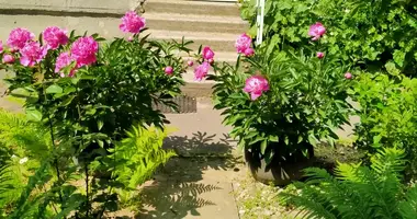 Townhouse 2 bedrooms in Liubonicy, Belarus