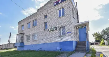 Ресторан, кафе 263 м² в Жодино, Беларусь