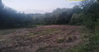 Участок земли в Демидовичский сельский Совет, Беларусь