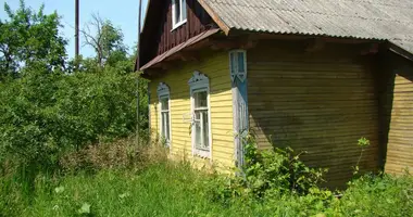 Haus in Njaswisch, Belarus