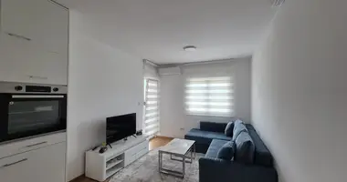 1 room studio apartment in Zmaj Jovina, Montenegro