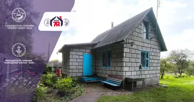 Дом в Боровской сельский Совет, Беларусь