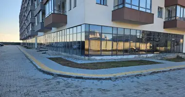 Propriété commerciale 184 m² dans Odessa, Ukraine