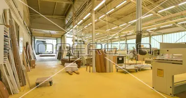 Propriété commerciale 1 342 m² dans Ville de Zagreb, Croatie