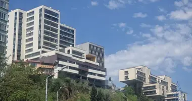 1 bedroom apartment in Tbilisi, Georgia