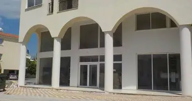 Geschäft 298 m² in Polis, Zypern