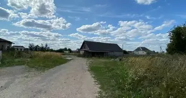 Коммерческая в Оршанский район, Беларусь