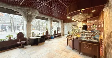 Коммерческое помещение 453 м² в Каунас, Литва