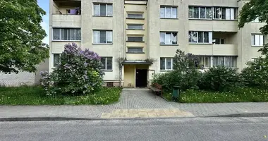 Wohnung 1 zimmer in Radaschkowitschy, Belarus