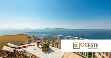 Maison 9 chambres dans Opcina Dezanovac, Croatie