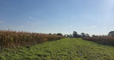 Parcela en Voivodato de Pequeña Polonia, Polonia