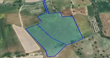 Działka w Agios Theodoros Larn, Cypr