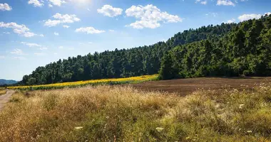 Terrain dans Kassandrino, Grèce