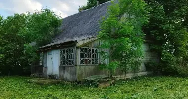 Haus in Sieleucy, Belarus
