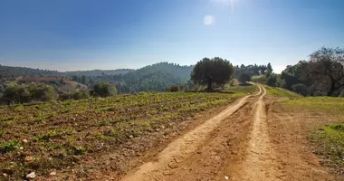 Terrain dans Paliouri, Grèce