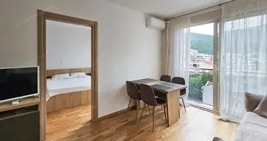 1 bedroom apartment in Budva, Montenegro