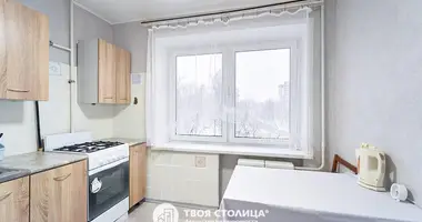 2 bedroom apartment in Minsk, Belarus