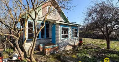 Дом в Пережирский сельский Совет, Беларусь