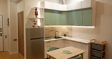 1 room studio apartment in Tbilisi, Georgia