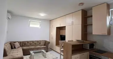 Studio in Montenegro