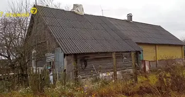 House in Puchavicki sielski Saviet, Belarus
