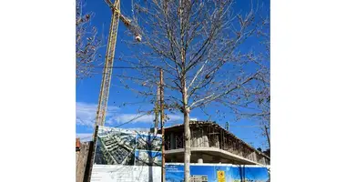 Mieszkanie 2 pokoi w Elbasan Municipality, Albania