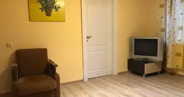 1 room apartment in Sluck, Belarus