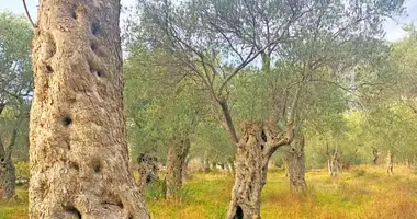 Участок земли в Бар, Черногория