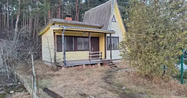 Maison dans Kaunas, Lituanie