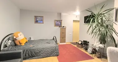 Mieszkanie 1 pokój w Ryga, Łotwa