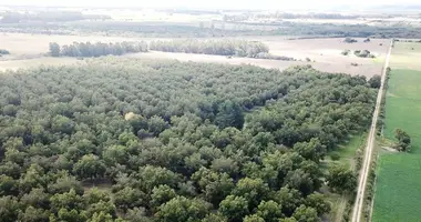 Maison 3 chambres dans Uruguay