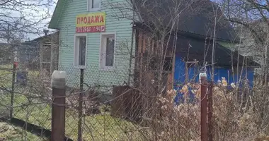 Dom w Papiarnianski sielski Saviet, Białoruś