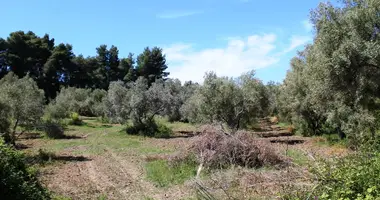 Terrain dans Kassandreia, Grèce