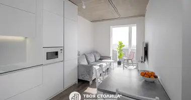 3 bedroom apartment in Minsk, Belarus