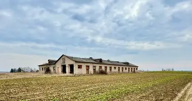 Дом в Лаздияй, Литва