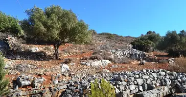 Участок земли в Municipality of Agios Nikolaos, Греция