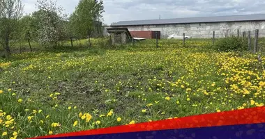 Plot of land in Jzufouski sielski Saviet, Belarus