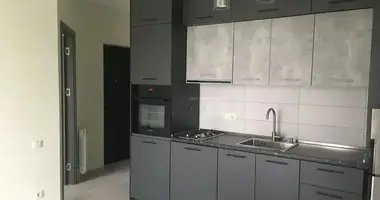 1 bedroom rent in Jikia House en Tiflis, Georgia