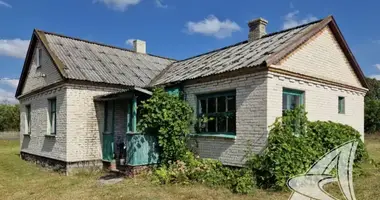 House in Navasiolki, Belarus