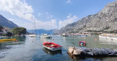 Commercial property 250 m² in Dobrota, Montenegro