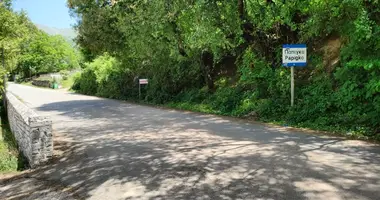 Участок земли в Papingo, Греция