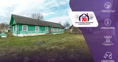 House in Liebiadzieva, Belarus