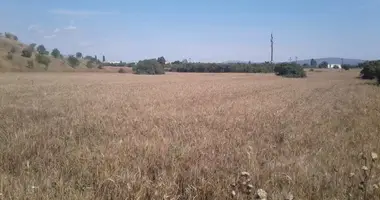Działka w Municipality of Pylaia Chortiatis, Grecja