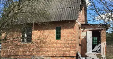 Haus in Radvanicki sielski Saviet, Belarus