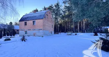 Plot of land in Muchaviecki sielski Saviet, Belarus